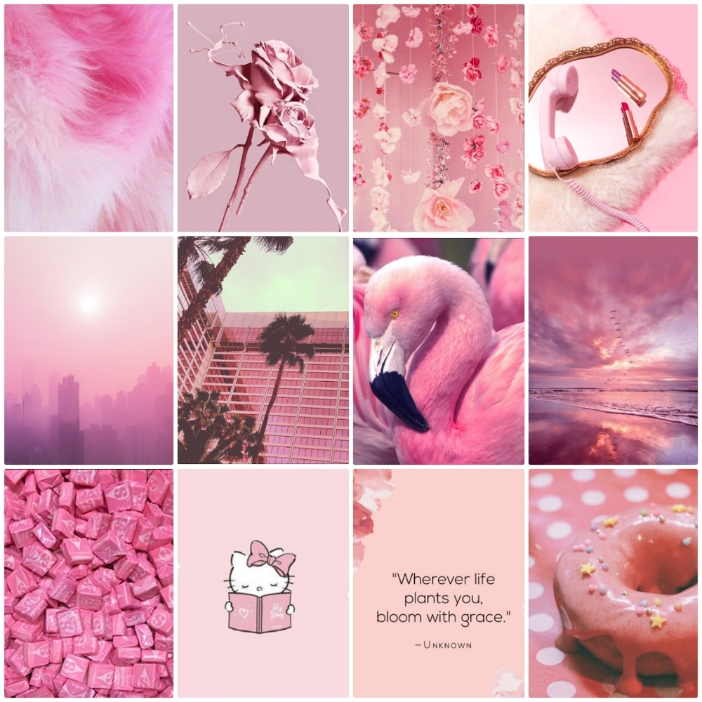 🌸Pink & Magenta Tones